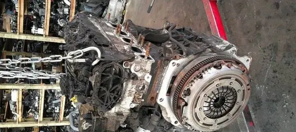 Volkswagen Golf VIII Engine DTRD