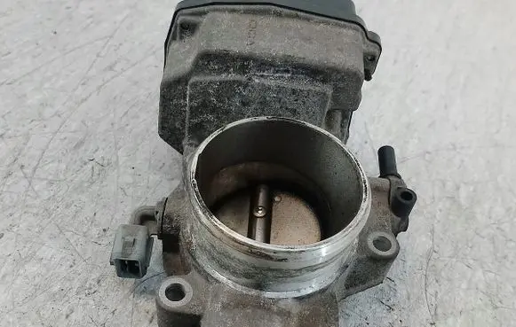 Citroen Xsara Picasso Throttle body valve 