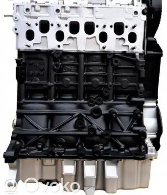 Volkswagen Multivan T5 Engine block BRR