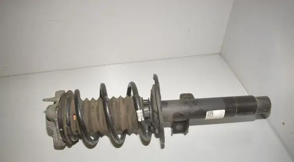 Front shock absorber with coil spring