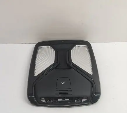BMW 5 G30 G31 Front seat light 7937937