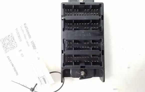 KIA Sorento Fuse module 913103E810