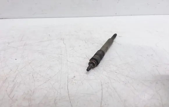 Citroen Xsara Picasso Glow plug 0250202032