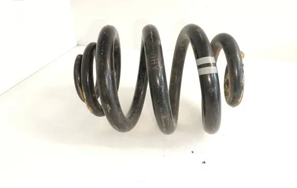 Rear coil spring