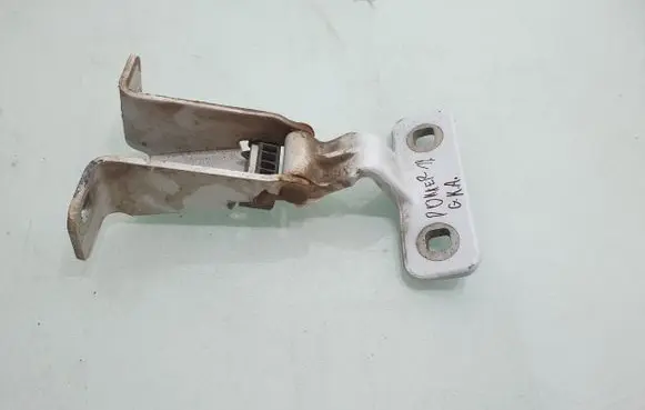 Dacia Dokker Rear door lower hinge 844009913R