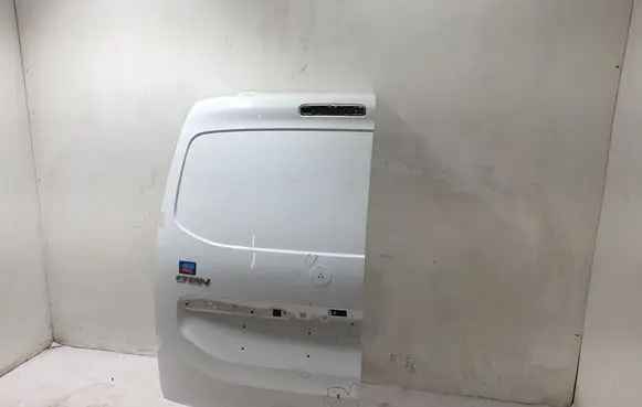 Mercedes-Benz Citan II W420 Back/rear loading door 901015531R