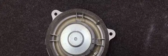 Renault Scenic IV - Grand scenic IV Rear door speaker 281445901R 3577980010 257300A810