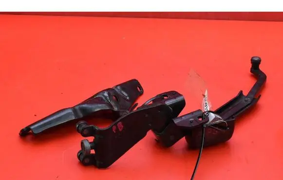 Opel Combo D Front door hinge set 51814082