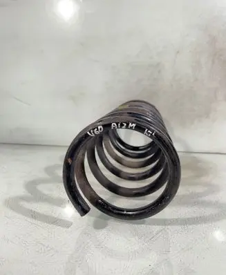 Rear coil spring
