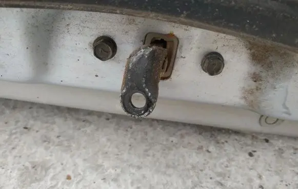 Hyundai Trajet Rear door check strap stopper