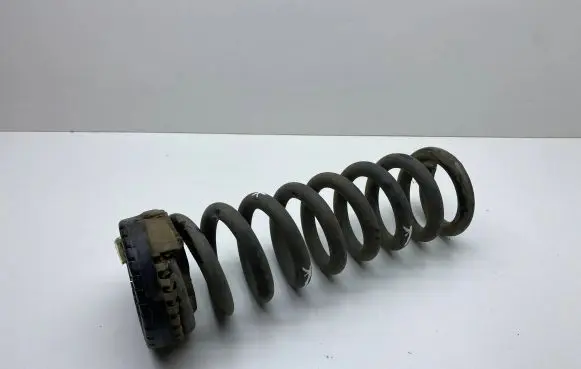 Dodge Charger Rear coil spring
