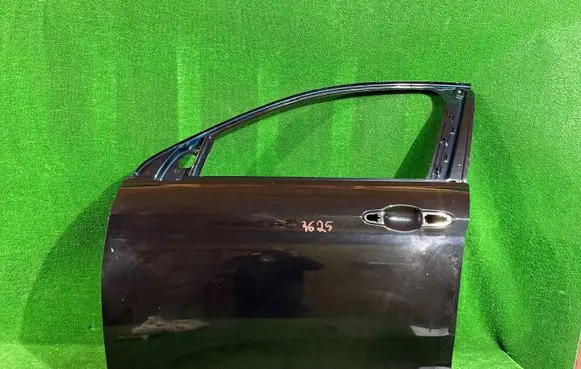 Fiat Tipo Front door