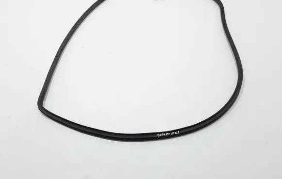 Dodge Durango Front door rubber seal 55399185AC