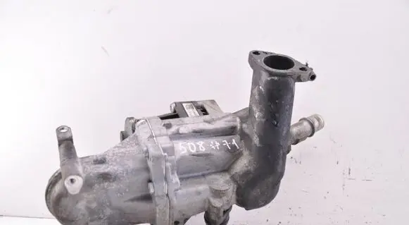 Peugeot 508 II EGR valve 9802194080 702209080
