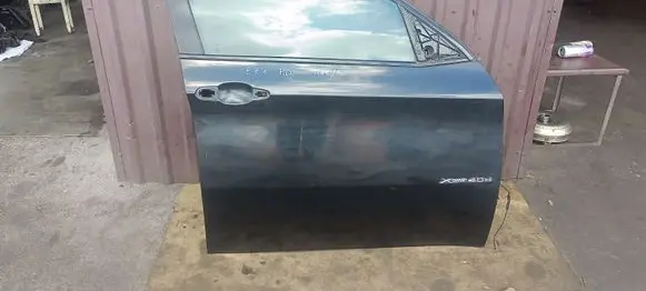 BMW X6 E71 Front door