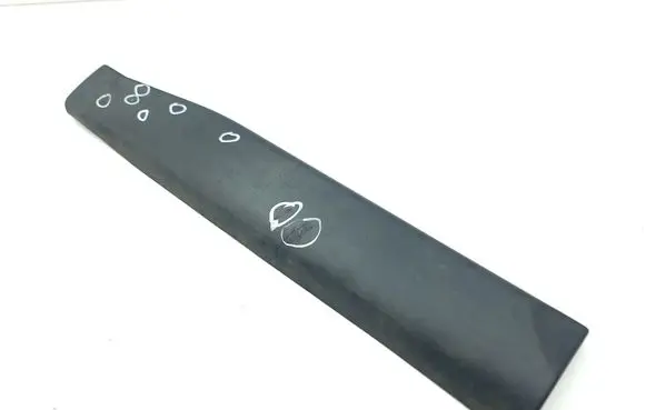 Nissan X-Trail T31 Rear door trim (molding) 82876JG00A