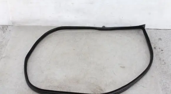 BMW 6 F06 Gran coupe Rubber seal front coupe door 7328767 51337328767