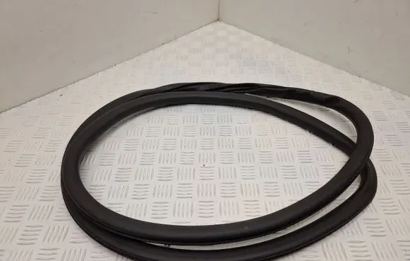DS Automobiles 4 II Front door rubber seal 
