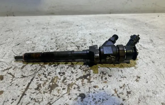 Peugeot 308 Fuel injector 0445110311