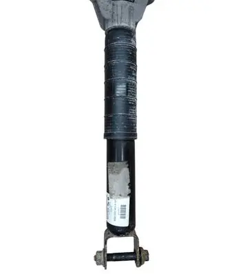 Dodge Durango Rear shock absorber/damper 52830 286AA 894104000868