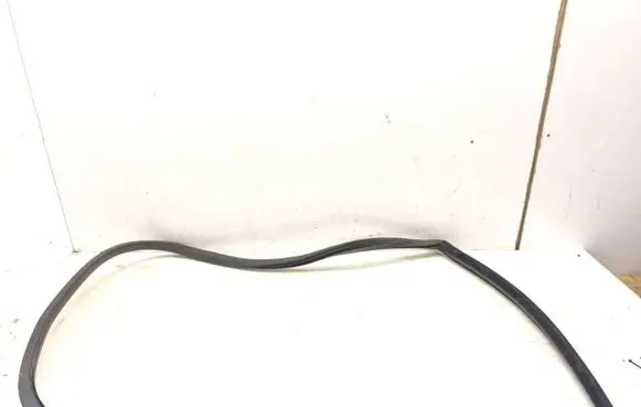 Rear door rubber seal (on body)