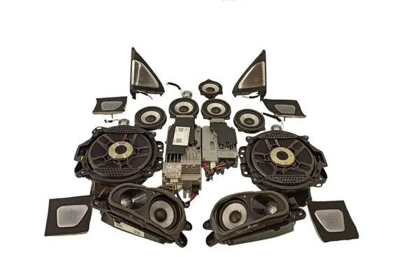 BMW X6M G06 F96 Audio system kit 2622509 65132622509 9350327