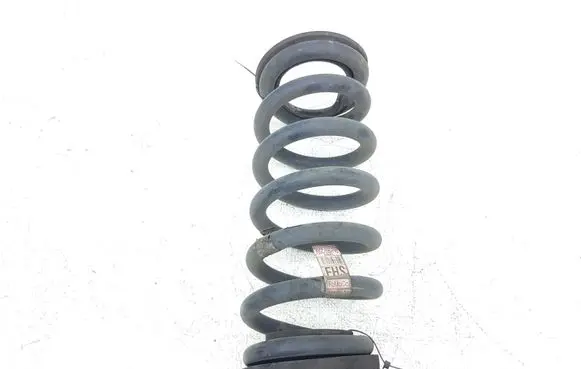 Ford Edge II Rear coil spring F2GC5560 F2GC5560FND Q48PA