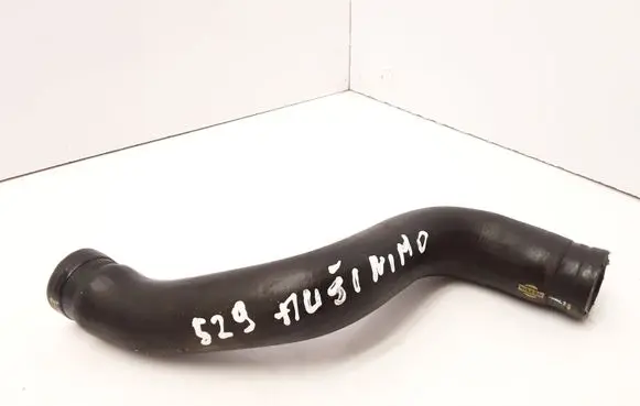 Nissan Almera Tino Engine coolant pipe/hose
