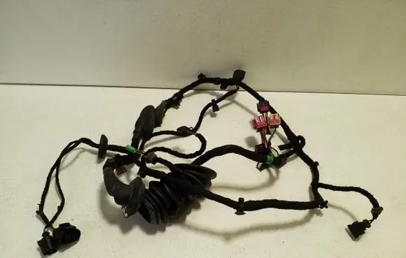Bentley Continental Front door wiring loom 3W0971121K