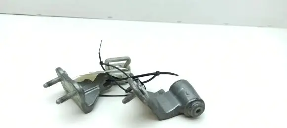 Rear door hinge set