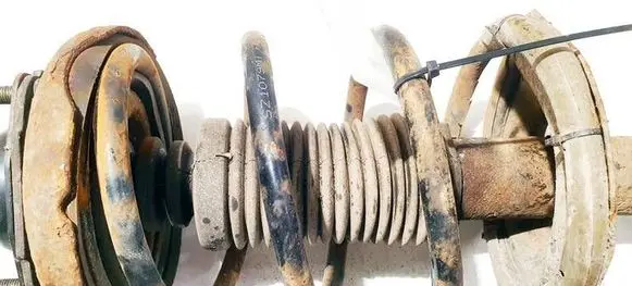 Nissan Almera Tino Front coil spring 