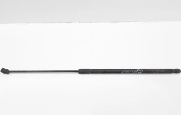 Ford C-MAX II Tailgate/trunk strut/damper AM51R406A10AE