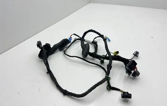 Seat Leon (5F) Front door wiring loom 5F4971029BS 370FC01 TAB012569CN