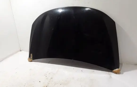 Engine bonnet/hood