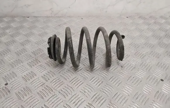 Nissan Leaf II (ZE1) Rear coil spring 