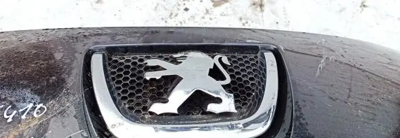 Peugeot 207 Front grill