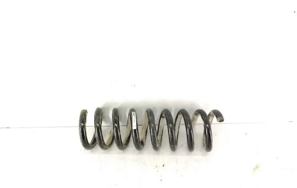 Rear coil spring