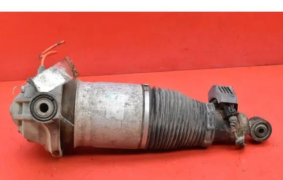 Audi Q7 4L Rear shock absorber/damper 7L8616001