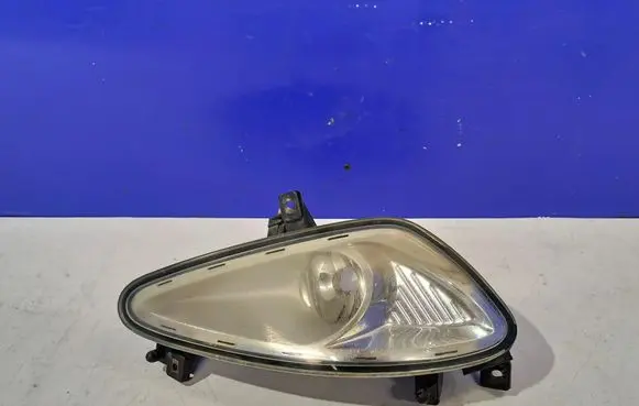 Mercedes-Benz S W221 Front fog light A2218200256 030507400255