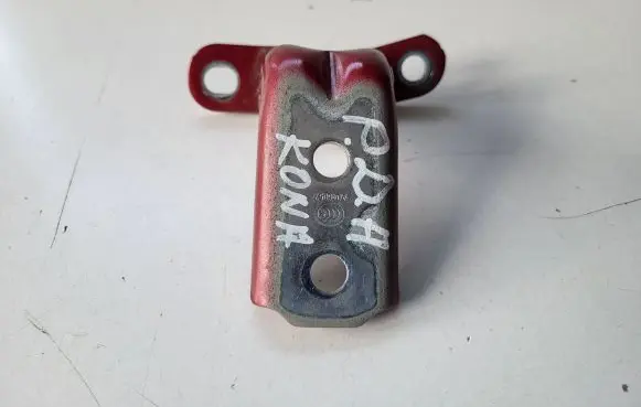 Hyundai Kona I Front door lower hinge 
