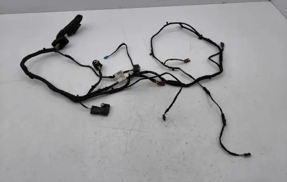 Mini Cooper Countryman R60 Front door wiring loom 405699C10 9811218