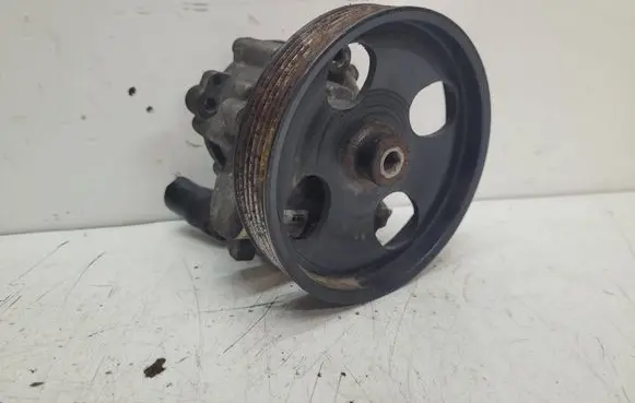 Renault Trafic II (X83) Power steering pump 491100246R