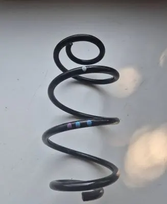 Rear coil spring