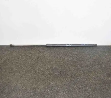 Opel Mokka Tailgate/trunk strut/damper 95095594