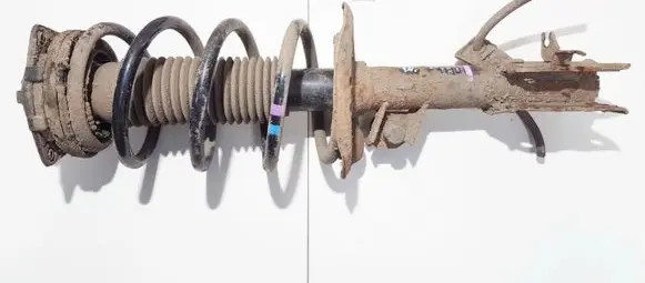 Nissan Qashqai Front shock absorber/damper 54302jd04a 824903007907