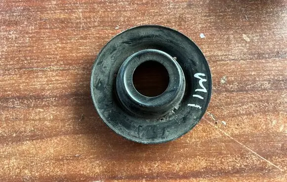 Coil spring mount