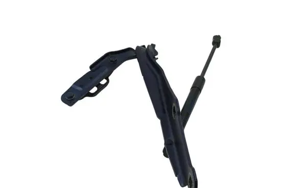 Dodge Charger Engine bonnet/hood hinges 55113551AG