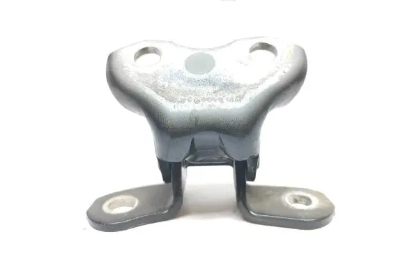 Toyota C-HR I Front door lower hinge 