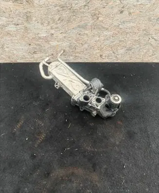 Seat Ibiza IV (6J,6P) EGR valve cooler