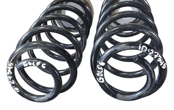 Rear coil spring